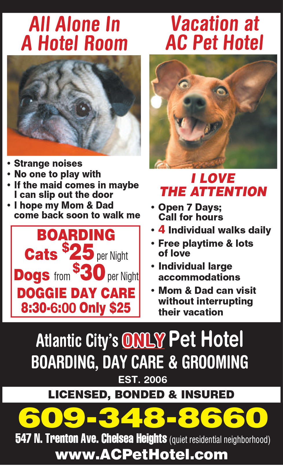Pet Hotel Flyer